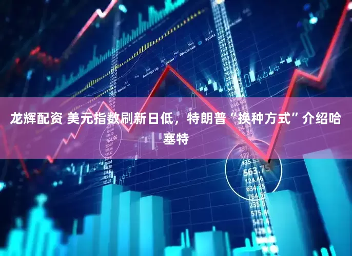 龙辉配资 美元指数刷新日低，特朗普“换种方式”介绍哈塞特